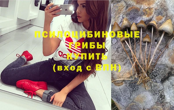 амф Абдулино
