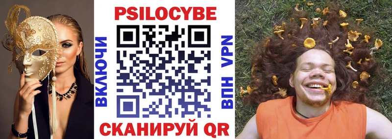 магазин    Россошь  Псилоцибиновые грибы GOLDEN TEACHER 